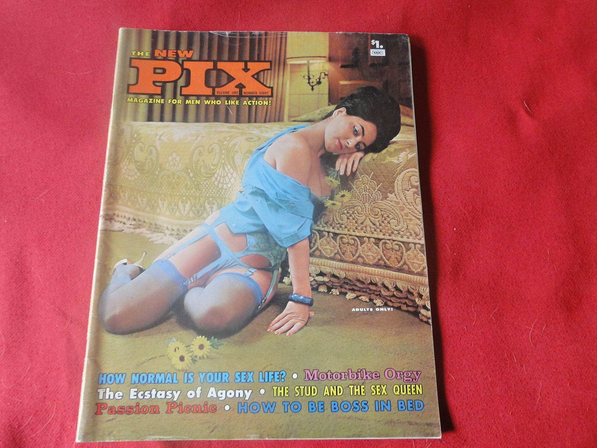 Vintage Nude Erotic Sexy Adult Magazine The New Pix 1965 JB1