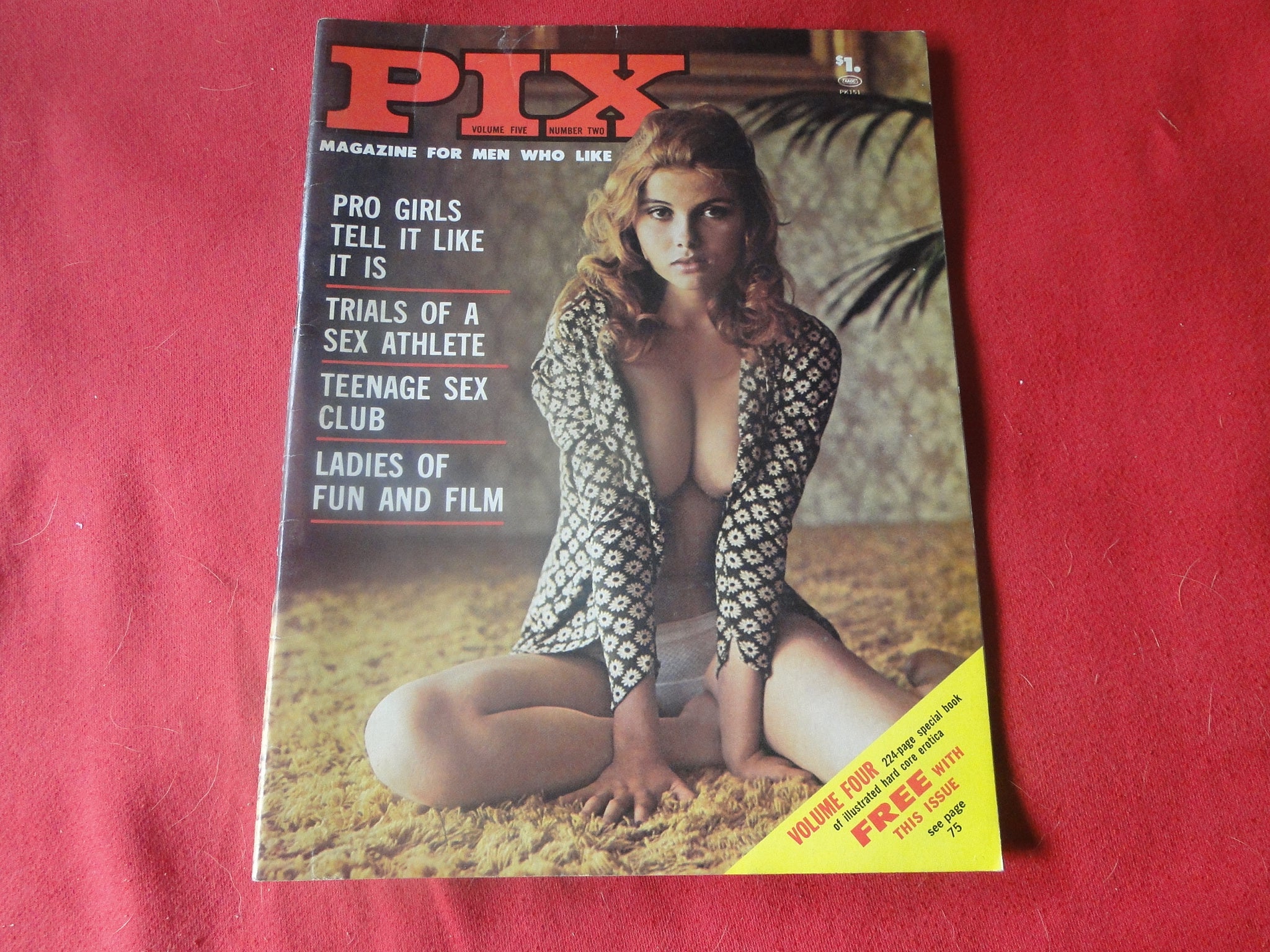 Vintage Nude Erotic Sexy Adult Magazine The New Pix August 1973 JB1a