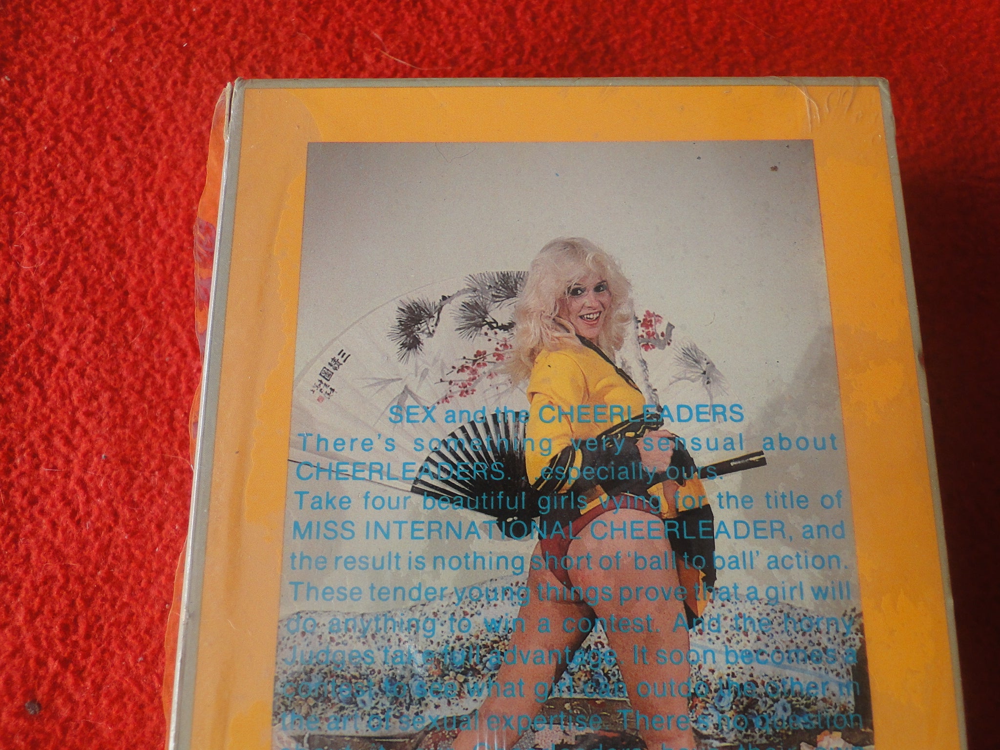 Vintage Adult XXX VHS Porn Tape Movie Sex and the Cheerleaders Desiree –  Ephemera Galore