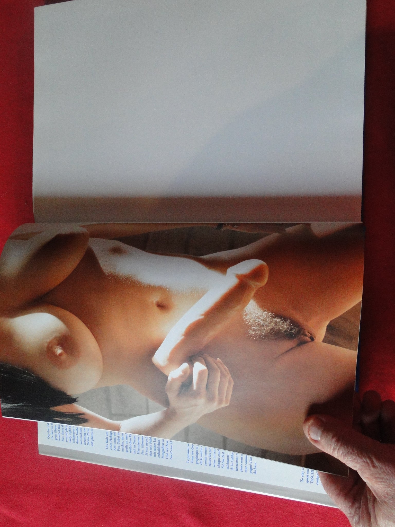 Vintage Hardcover Erotic Nude Women Picture Book Ed Fox II Taschen w D –  Ephemera Galore