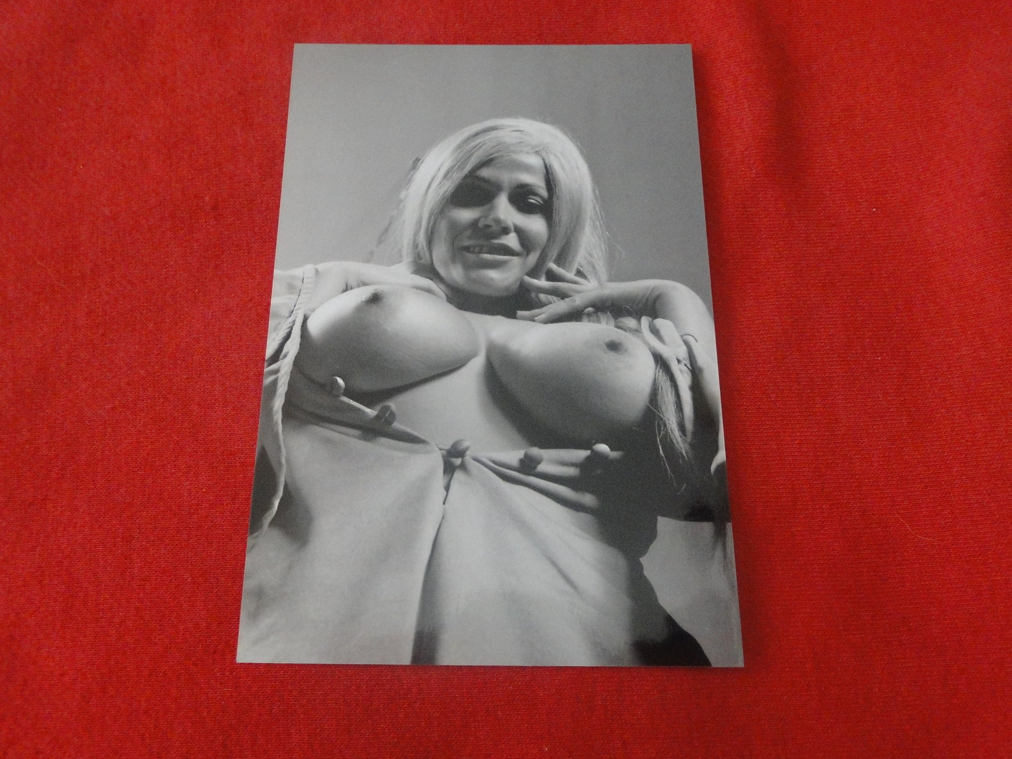 Nude Erotic Sexy Large Breasted Woman Photo 4 x 6 Uschi Digard A81q –  Ephemera Galore