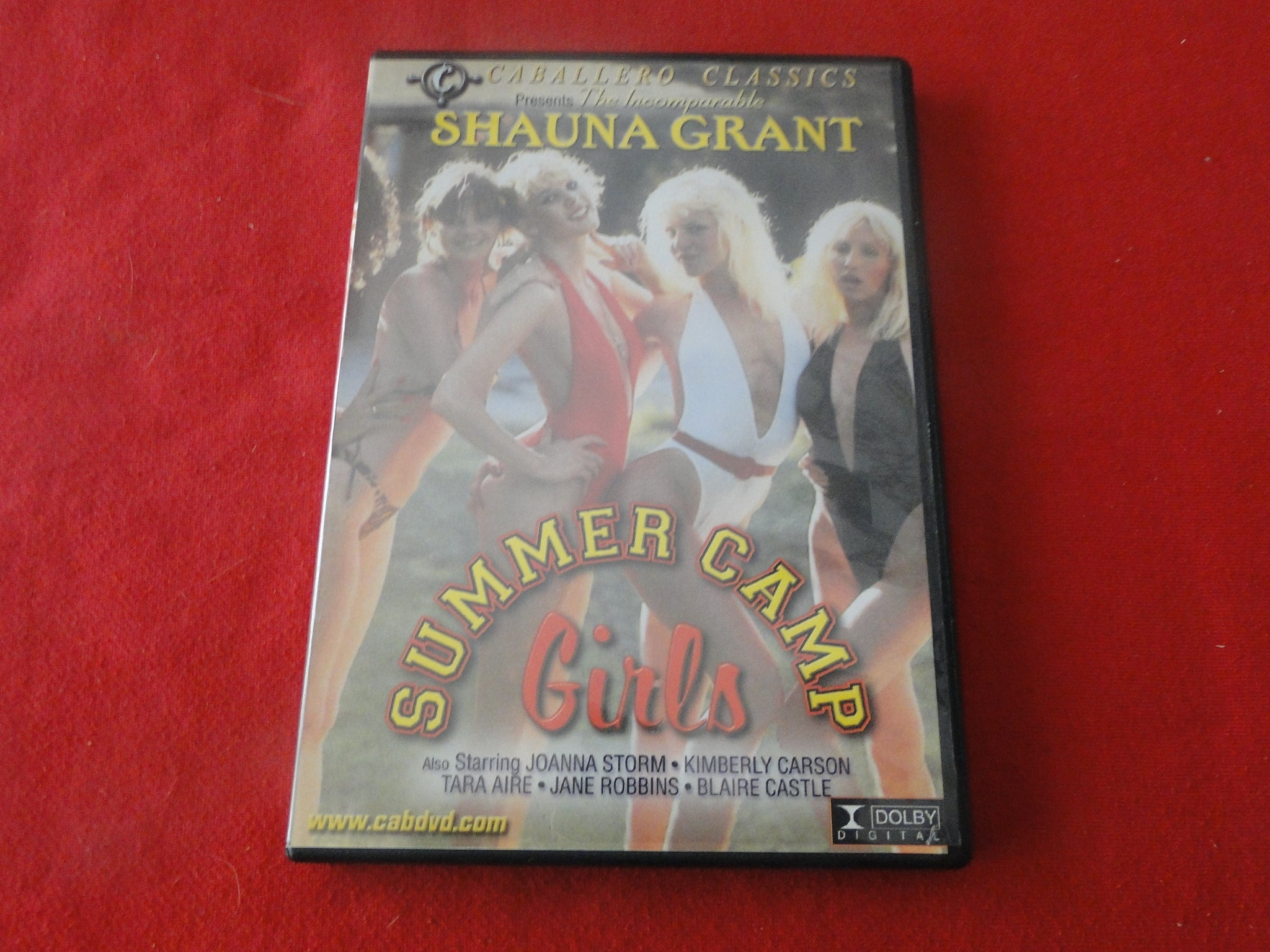 Vintage Adult Erotic Sexy Porn XXX DVD Movie Girls Summer Camp Shauna –  Ephemera Galore