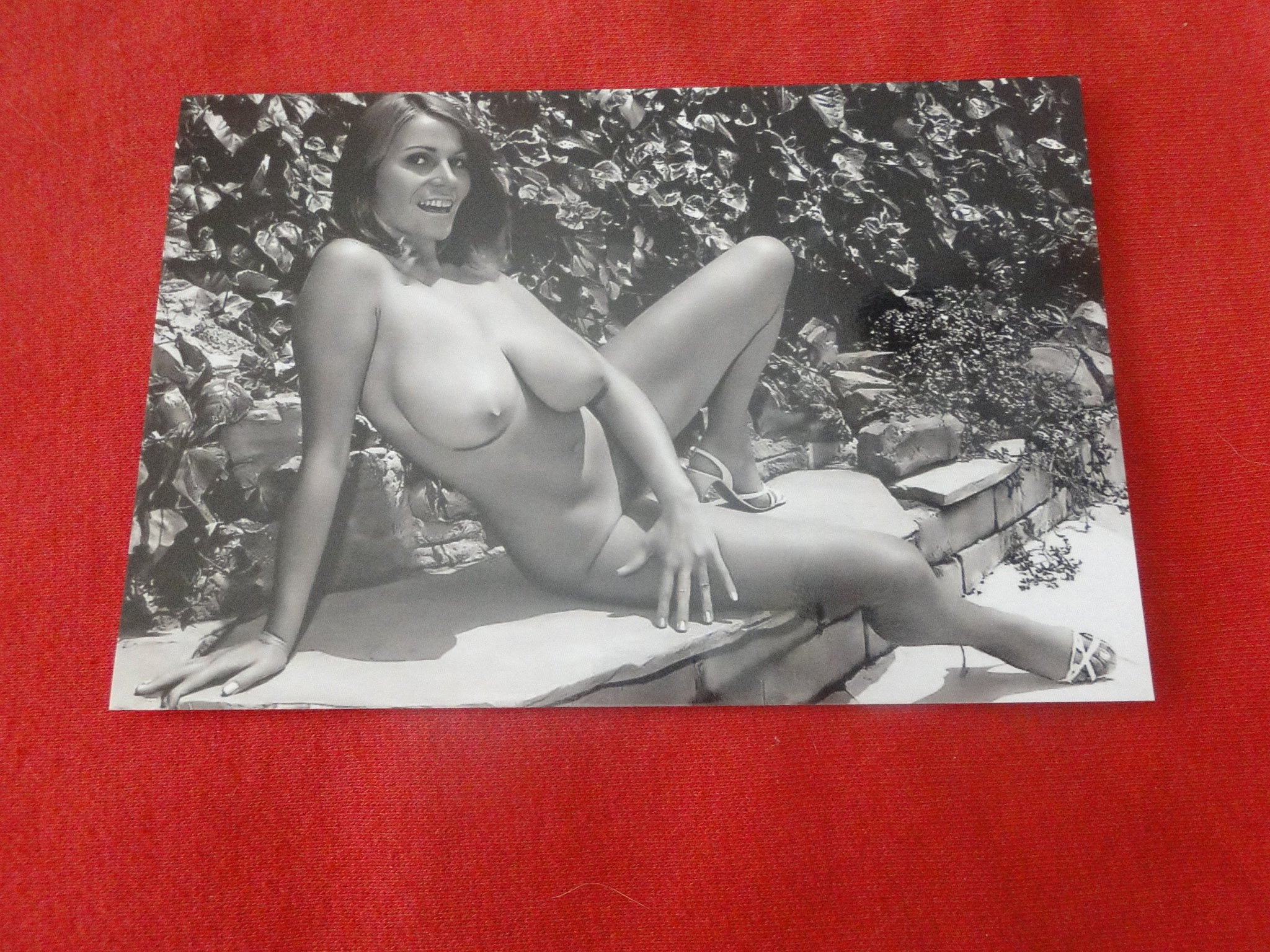 Nude Erotic Sexy Large Breasted Woman Photo 4 x 6 Uschi Digard A81t –  Ephemera Galore