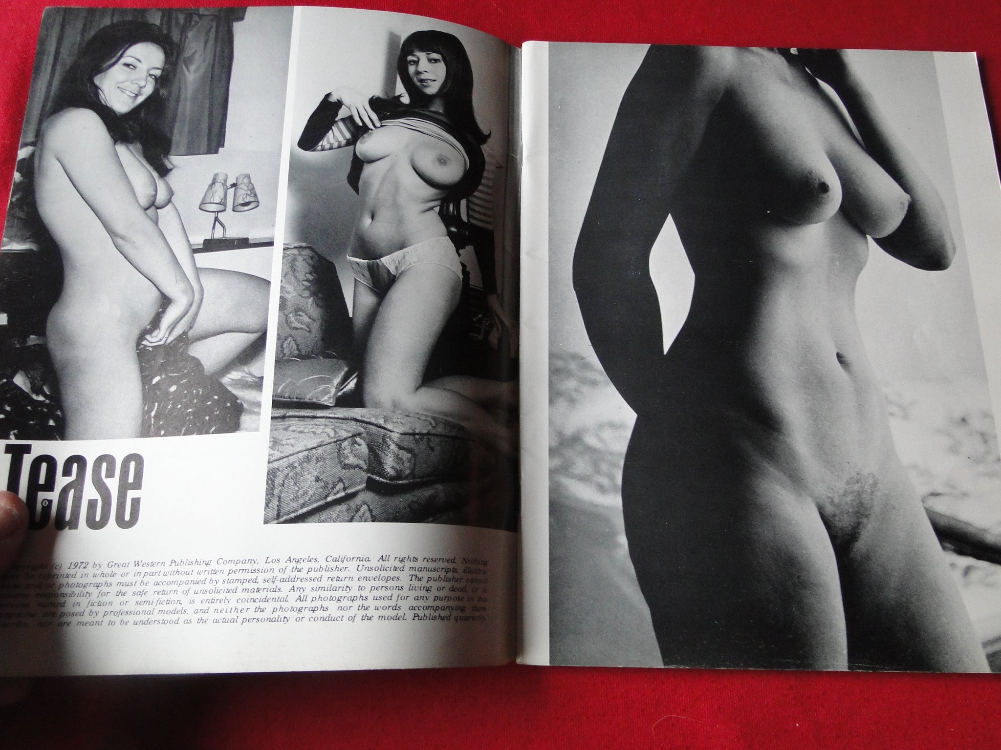 1972 Vintage Porn Galleries - Vintage Nude Erotic Sexy Adult Magazine Tease 1972 Uschi Digard Cover â€“  Ephemera Galore