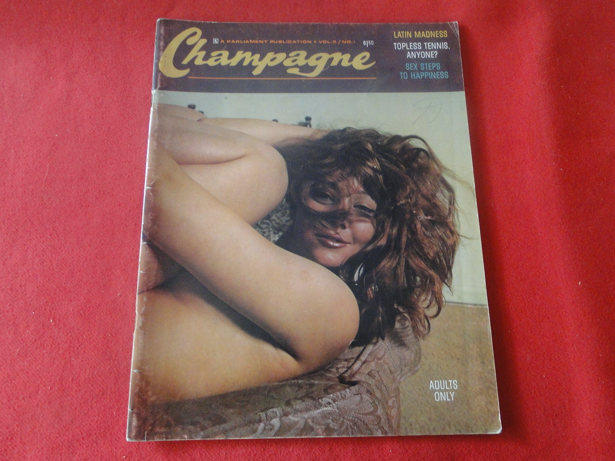 Vintage Nude Erotic Sexy Adult Magazine Parliament Champagne 1967 P85