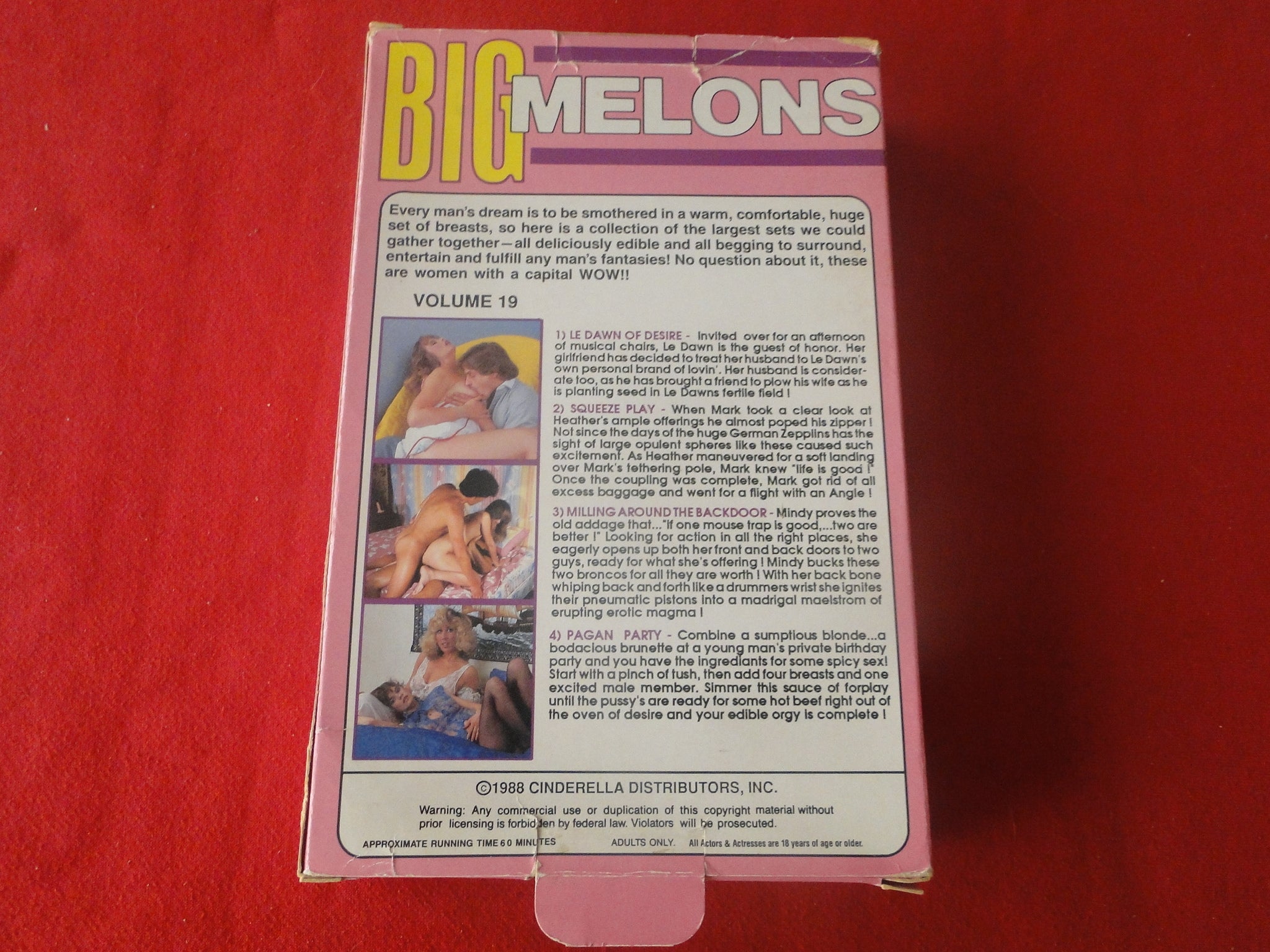 Vintage Adult XXX VHS Porn Tape X-Rated Movie Big Melons Vol. 19 X5 –  Ephemera Galore