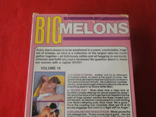 Load image into Gallery viewer, Vintage Adult XXX VHS Porn Tape X-Rated Movie Big Melons Vol. 19      X5
