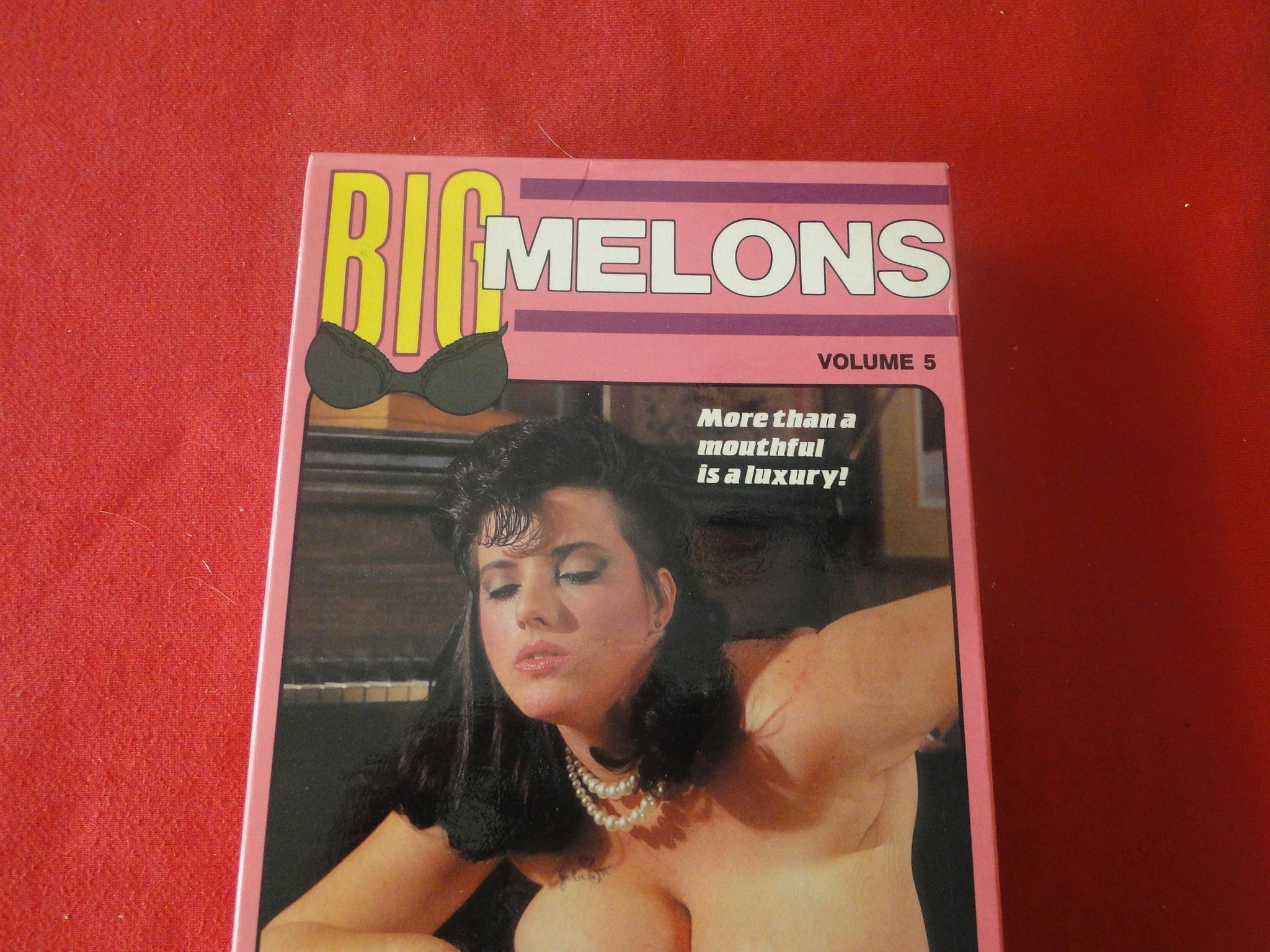 Vintage Adult XXX VHS Porn Tape X-Rated Movie Big Melons Volume 5 X4 –  Ephemera Galore