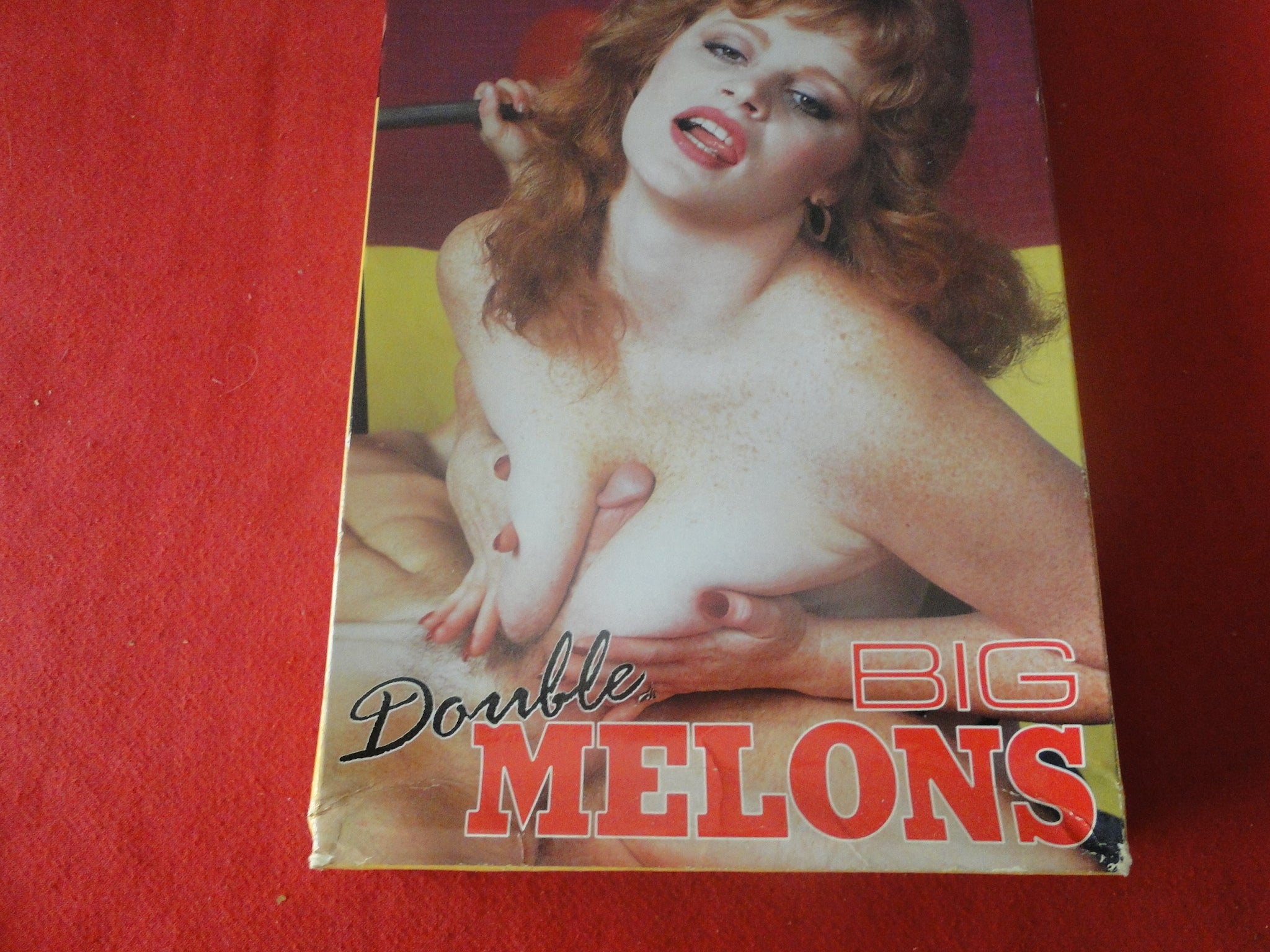 Vintage Adult XXX VHS Porn Tape X-Rated Movie Double Big Melons Lisa D –  Ephemera Galore