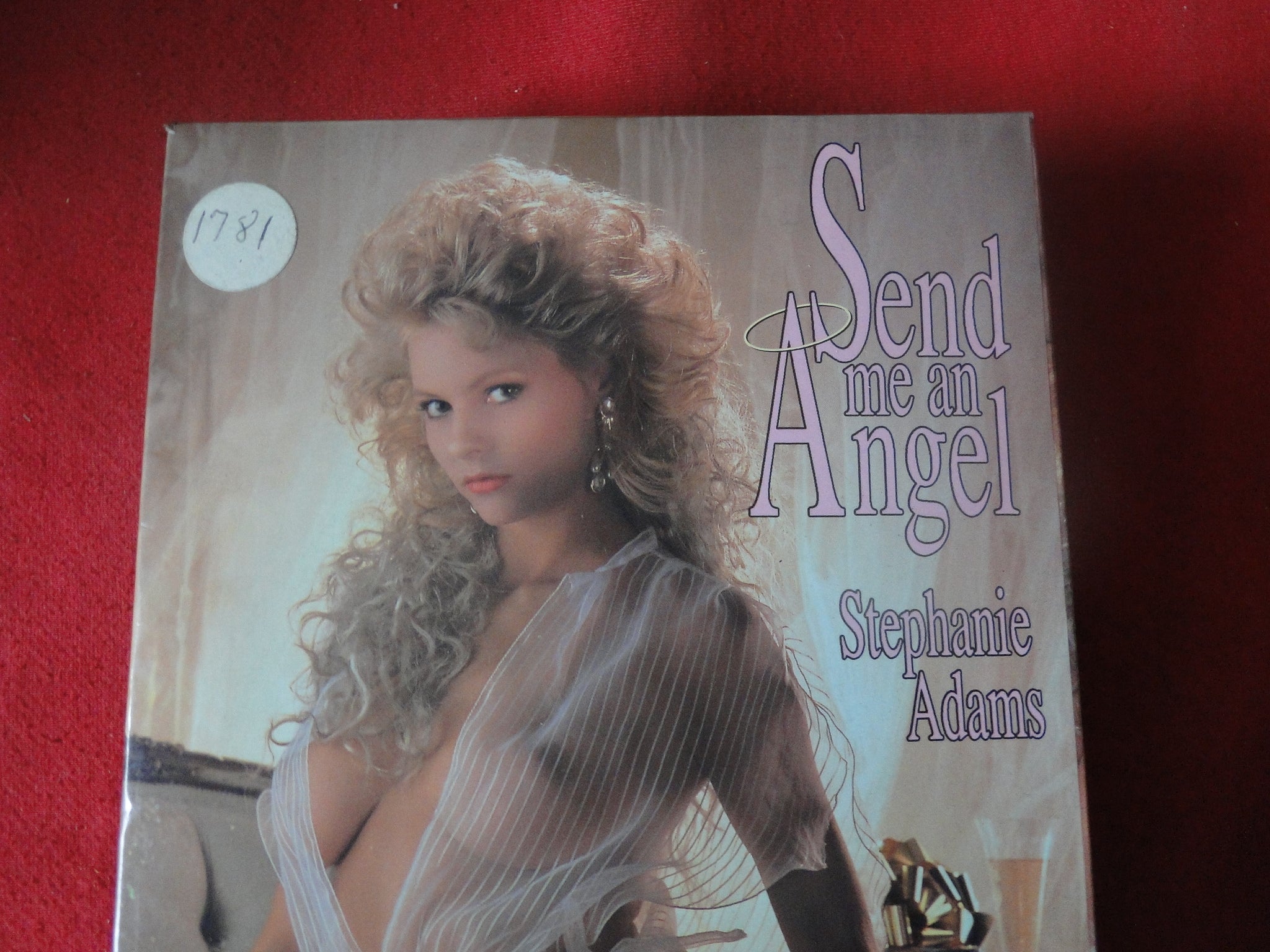 Vintage Adult XXX VHS Porn Tape X-Rated Movie Send Me An Angel Stephan –  Ephemera Galore