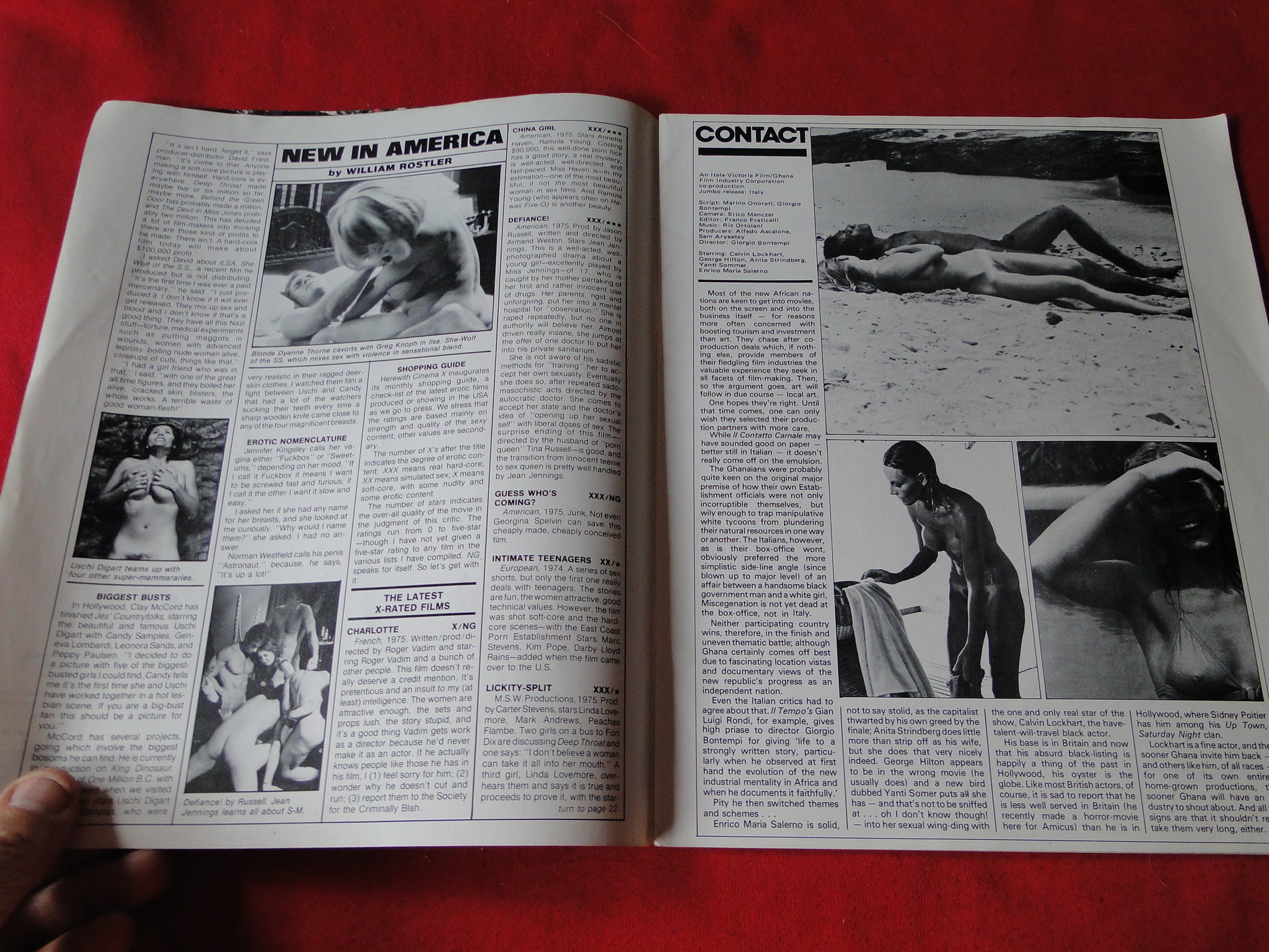 Vintage Nude Erotic Sexy Adult Magazine Cinema X Monthly February 1976 –  Ephemera Galore