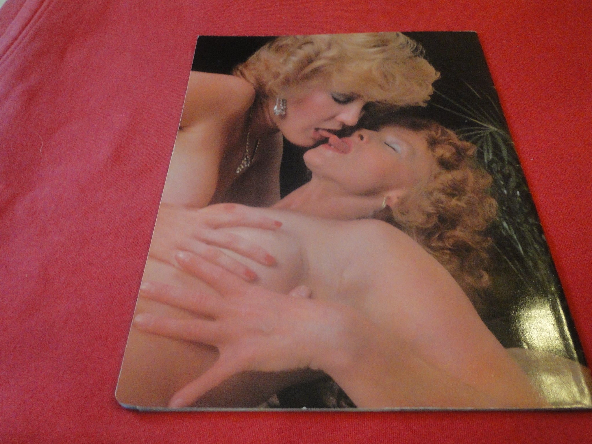 Vintage Nude Erotic Sexy Adult Magazine Lesbian Lovers Parliament 1986 –  Ephemera Galore