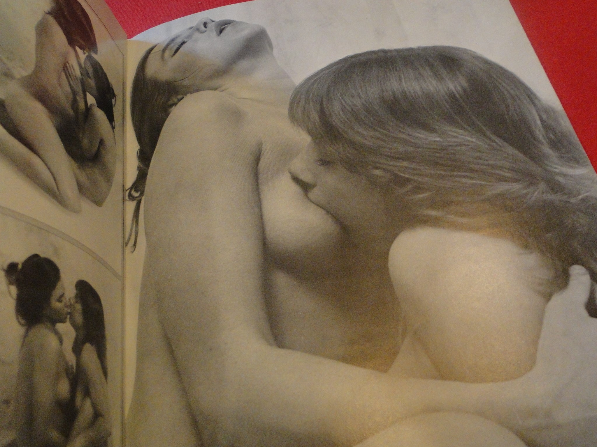 Vintage Nude Erotic Sexy Adult Magazine Lesbian Lovers Parliament 1986 –  Ephemera Galore