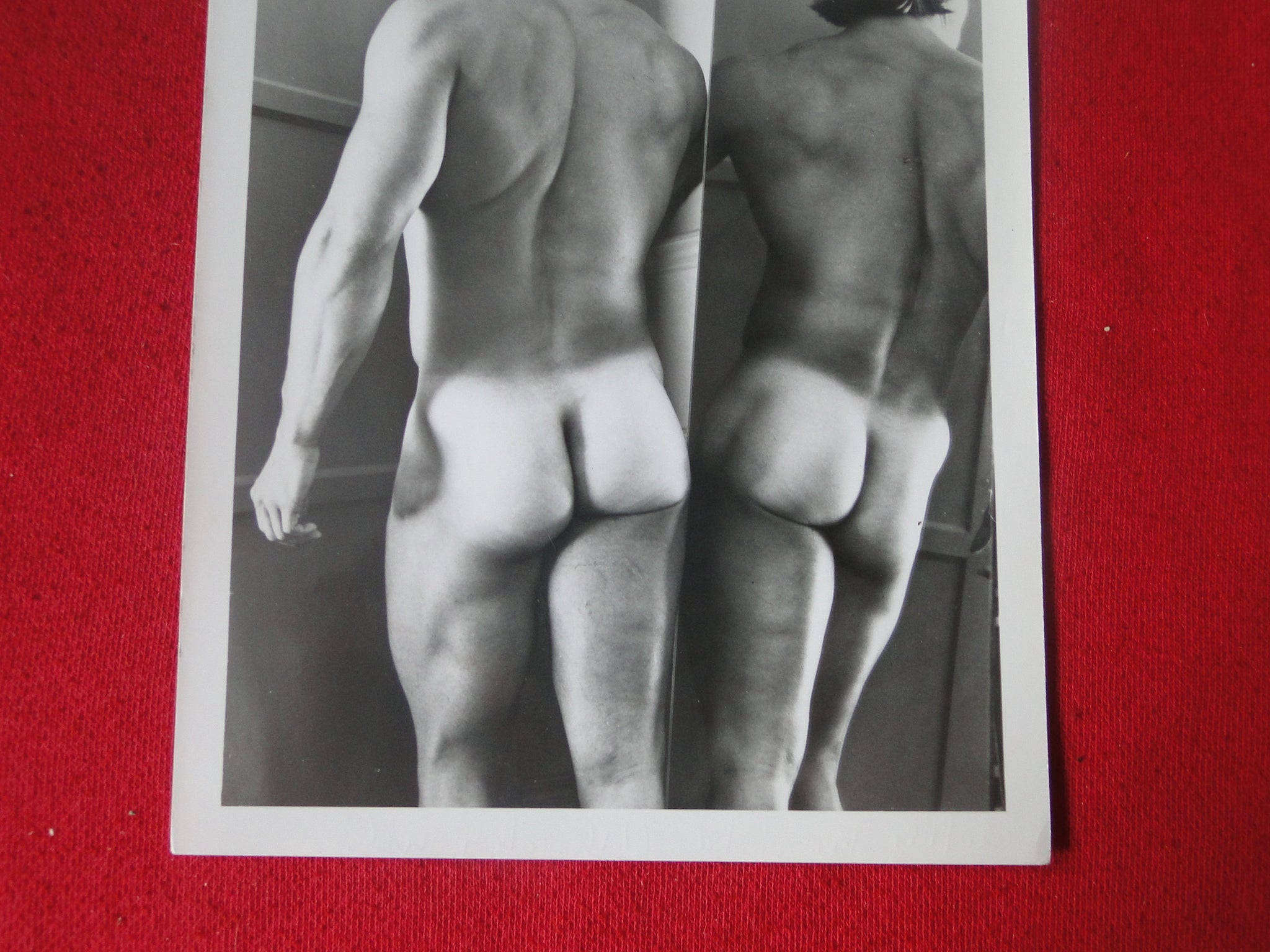 Vintage Gay Interest Colt Nude Black & White Hot Male Photo WRITING ON –  Ephemera Galore