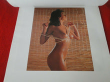 Load image into Gallery viewer, Vintage Semi-Nude Pinup Wall Calendar 1997 Dream Girls 19 x 16                 H
