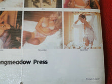 Load image into Gallery viewer, Vintage Large Semi-Nude Pinup Wall Calendar 1987 Touch of Silk SEALED 12 x 12  D
