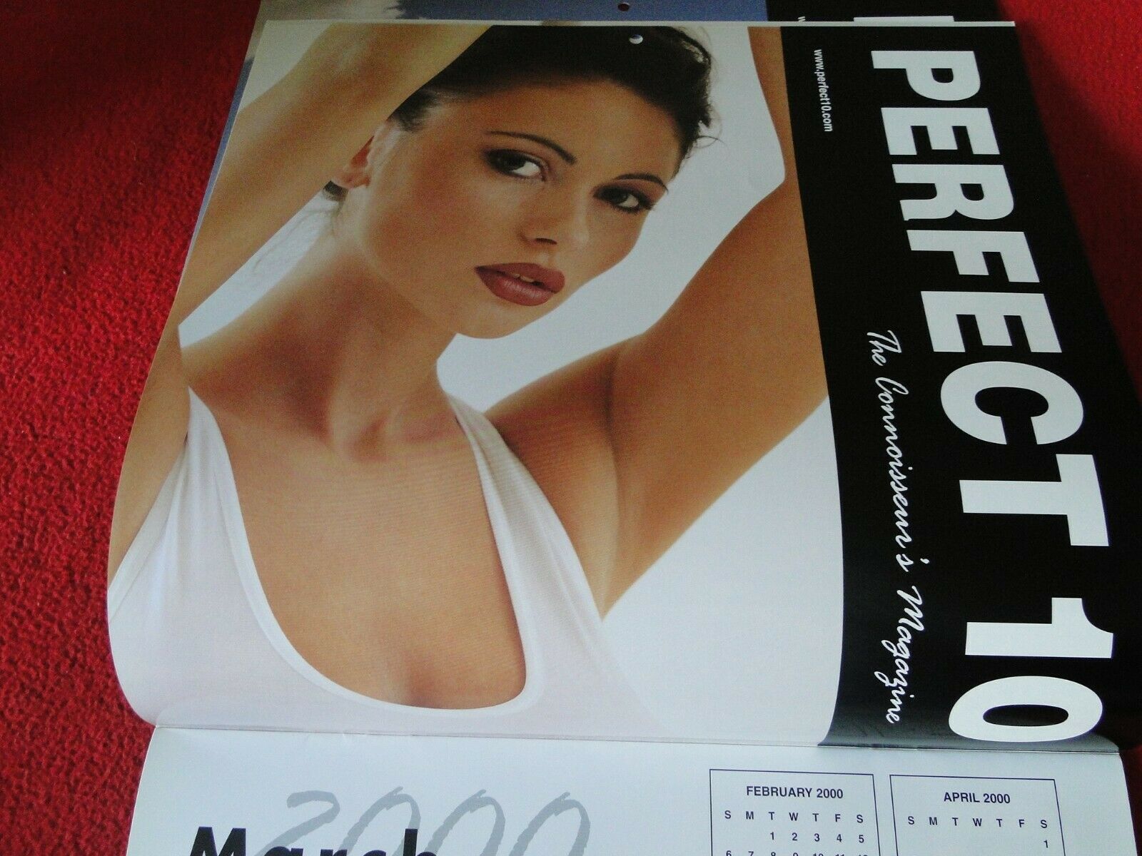 Vintage Large Semi-Nude Pinup Wall Calendar 2000 Perfect 10 12 x 12 E –  Ephemera Galore