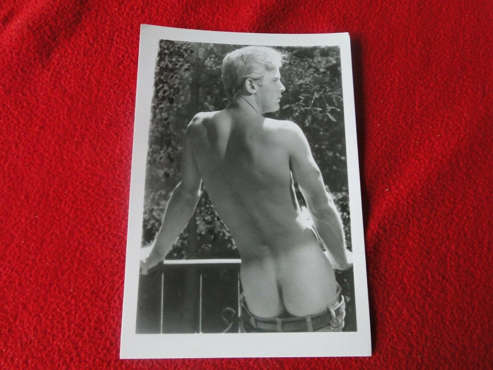 Vintage 18 Year Old + Gay Interest Nude Erotic Sexy Hot Hung Male Phot –  Ephemera Galore