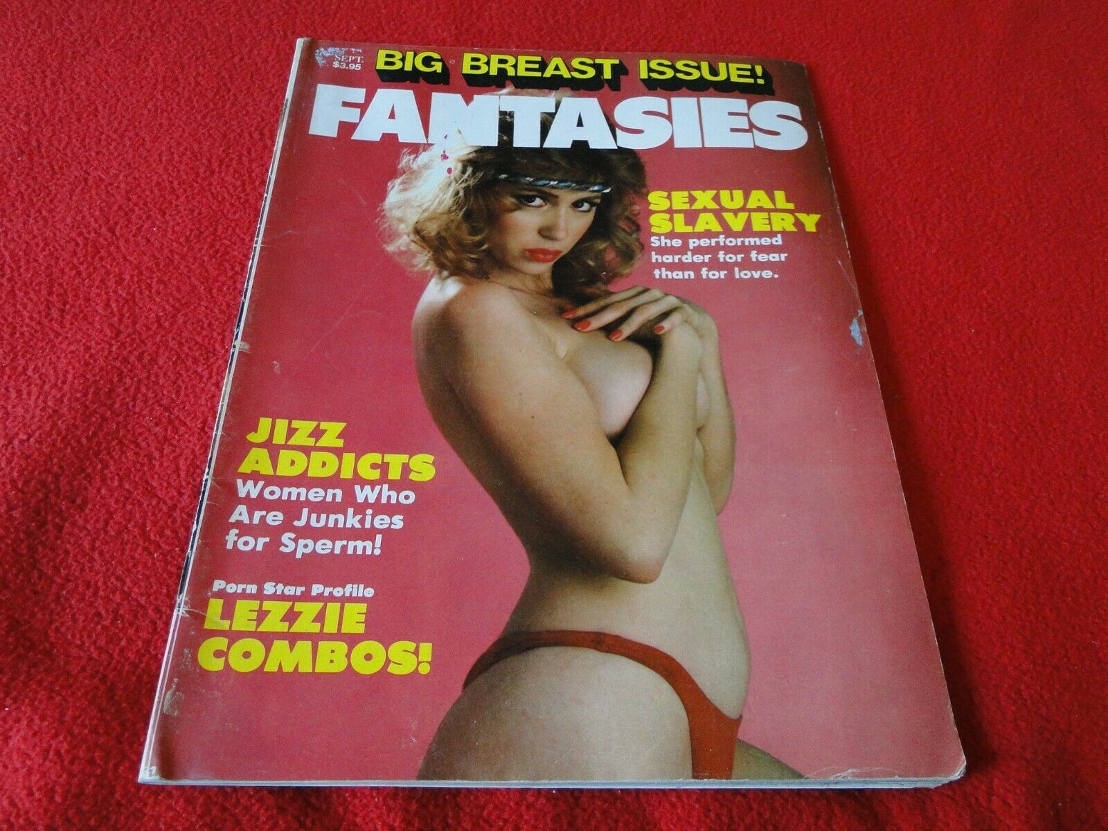 Vintage 18 Year Old + Nude Erotic Sexy Adult Magazine Fantasies Big Br –  Ephemera Galore