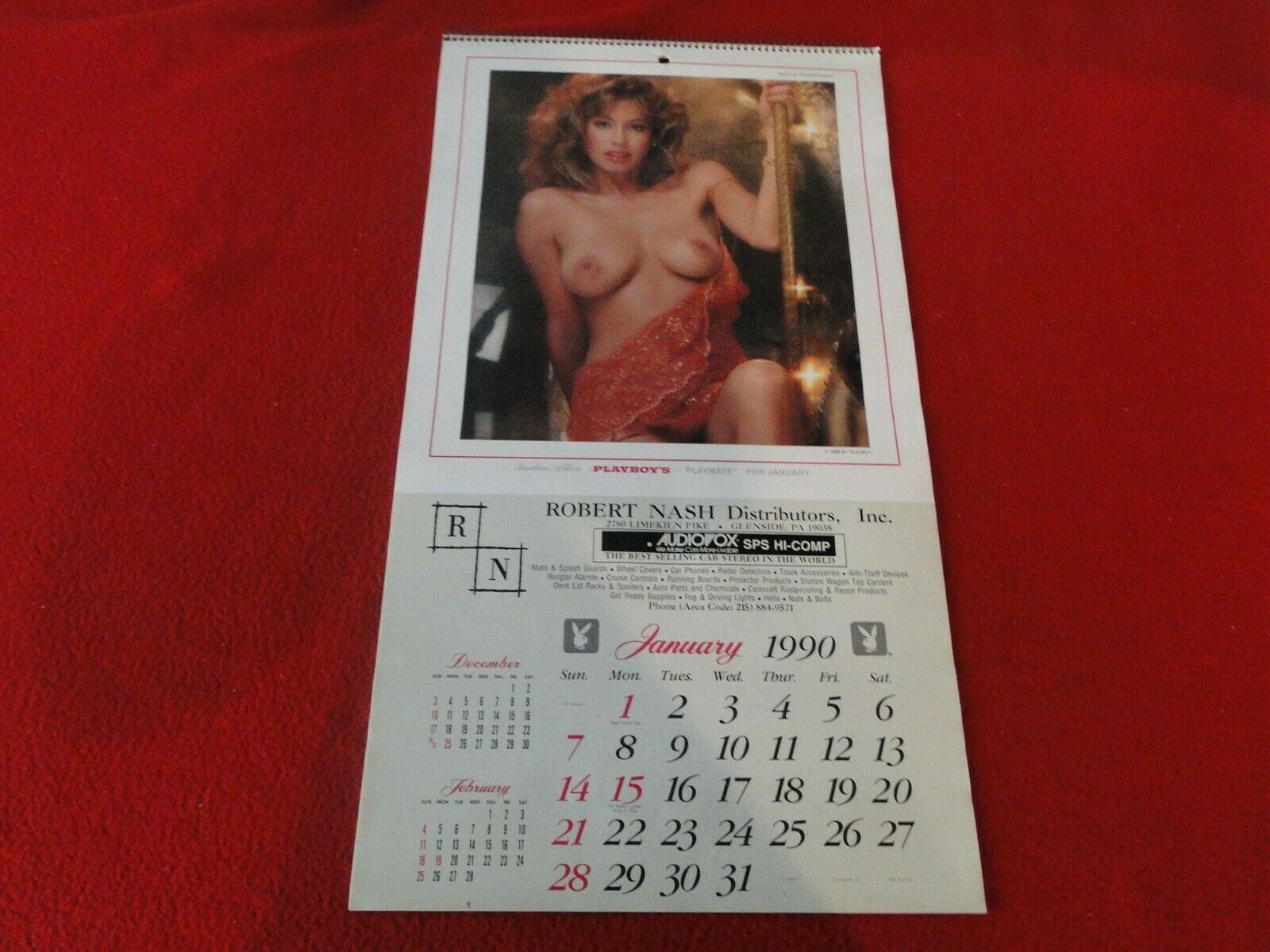 Vintage Semi-Nude Pinup Wall Calendar 1990 Playboy Robert Nash H