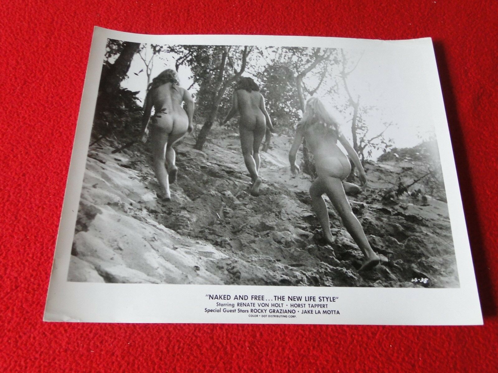 Vintage Original Pinup Promotional Movie Photo Nude Naked and Free –  Ephemera Galore