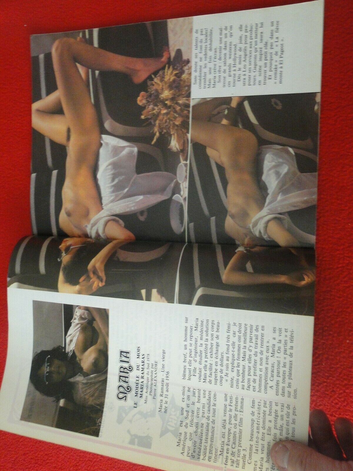 Vintage Erotic Sexy Adult XXX Porn Magazine French Absous 41D – Ephemera  Galore