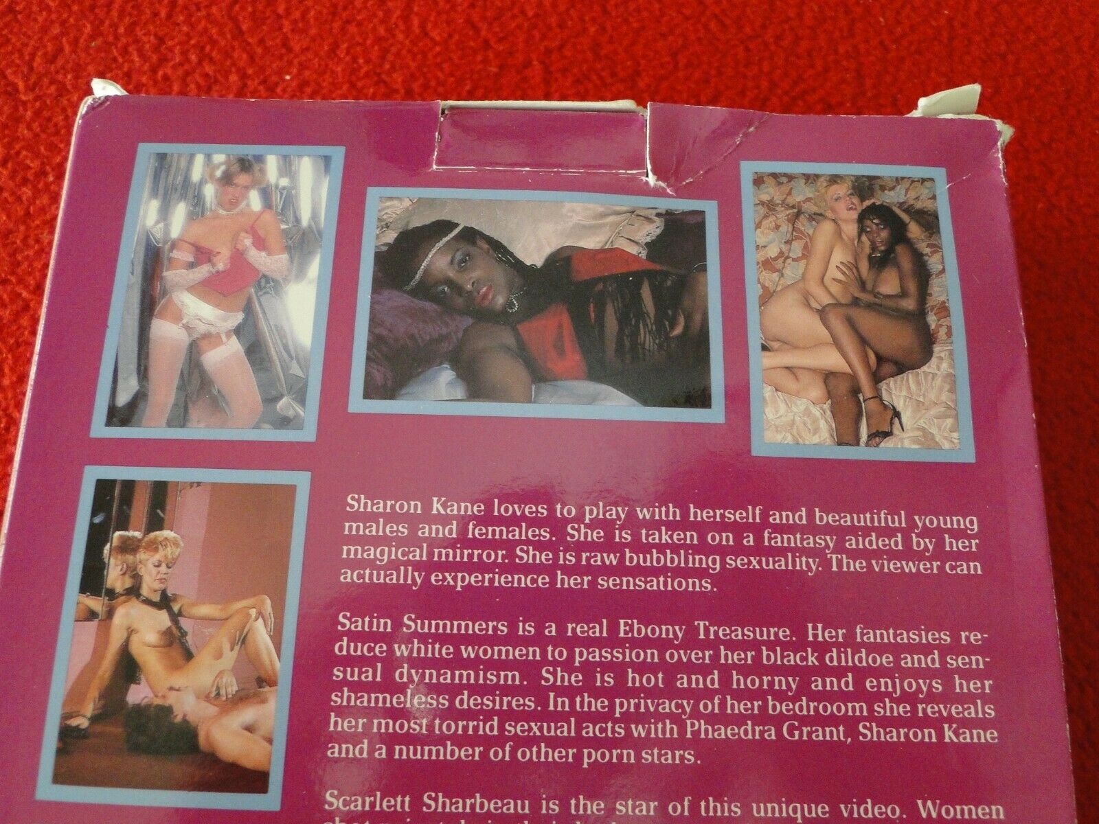 Vintage Adult XXX VHS Porn Tape Video 18 Y.O. + Shameful Desires CE –  Ephemera Galore