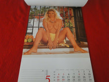 Load image into Gallery viewer, Vintage Semi-Nude Pinup Wall Calendar Top Cats 1997 17 x 12                    H
