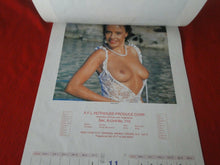 Load image into Gallery viewer, Vintage Semi-Nude Pinup Wall Calendar 1997 21 x 15                             H
