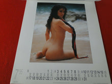 Load image into Gallery viewer, Vintage Large Semi-Nude Pinup Wall Calendar 1995 Dream Girls 19 x 16 Inches    D
