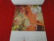 Load image into Gallery viewer, Vintage Semi-Nude Pinup Wall Calendar Top Cats 1997 17 x 12                    H
