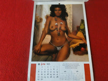 Load image into Gallery viewer, Vintage Semi-Nude Pinup Wall Calendar 1975 Playboy 12 x 8                      H
