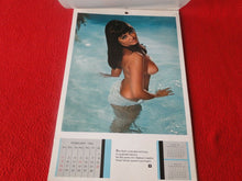 Load image into Gallery viewer, Vintage Semi-Nude Pinup Wall Calendar Playboy 1969 12 x 8                      H
