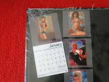 Load image into Gallery viewer, Vintage Semi-Nude Pinup Wall Calendar SEALED 12 x 12 1996 Penthouse            G
