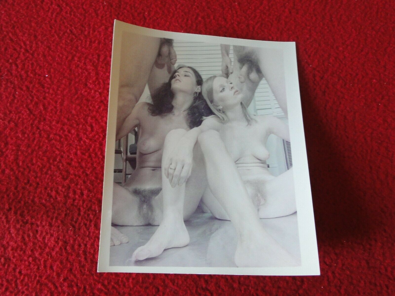 Vintage Erotic Sexy Adult Woman Hairy Bush Sex Color Photo B5E