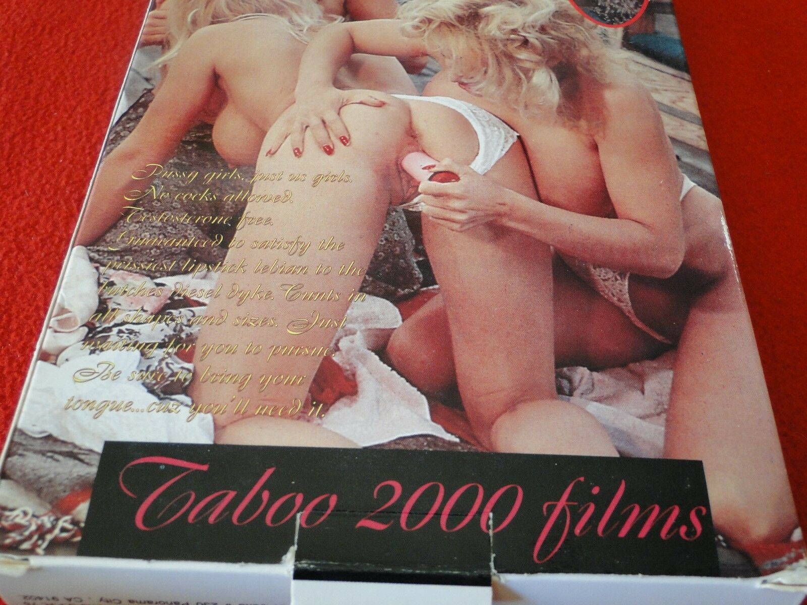 Vintage Adult XXX Porn Video VHS Tape Asia Julie Rage Paisley Hunter 2 –  Ephemera Galore