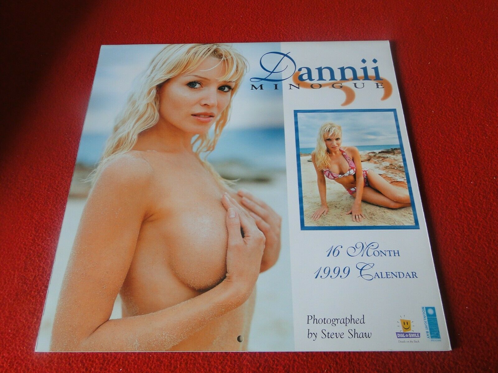 Vintage Semi-Nude Pinup Wall Calendar Dannii Minogue 1999 13 x 12 P –  Ephemera Galore