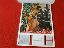 Load image into Gallery viewer, Vintage Semi-Nude Pinup Wall Calendar Playboy 1969 12 x 8                      H
