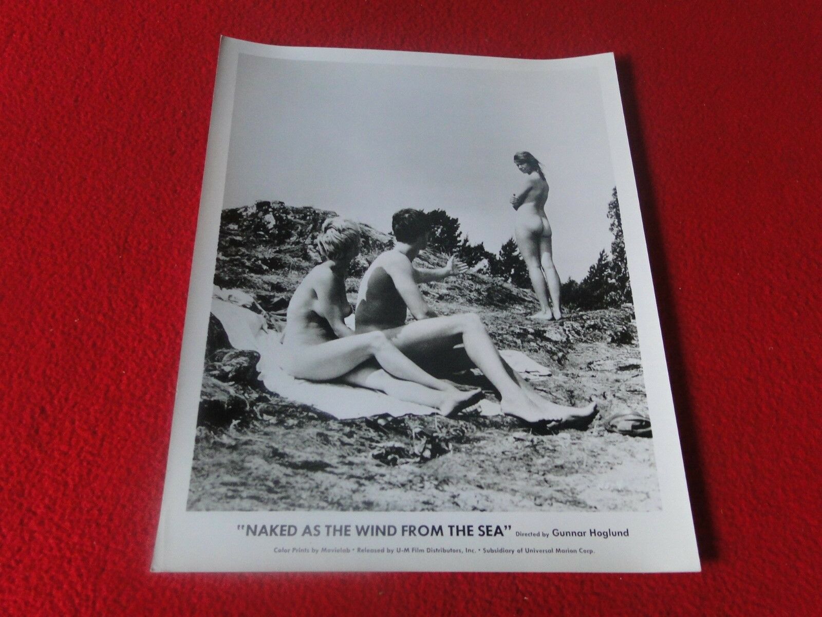 Vintage Pin Up Cheescake Women Movie Photo Naked as the Wind From the –  Ephemera Galore