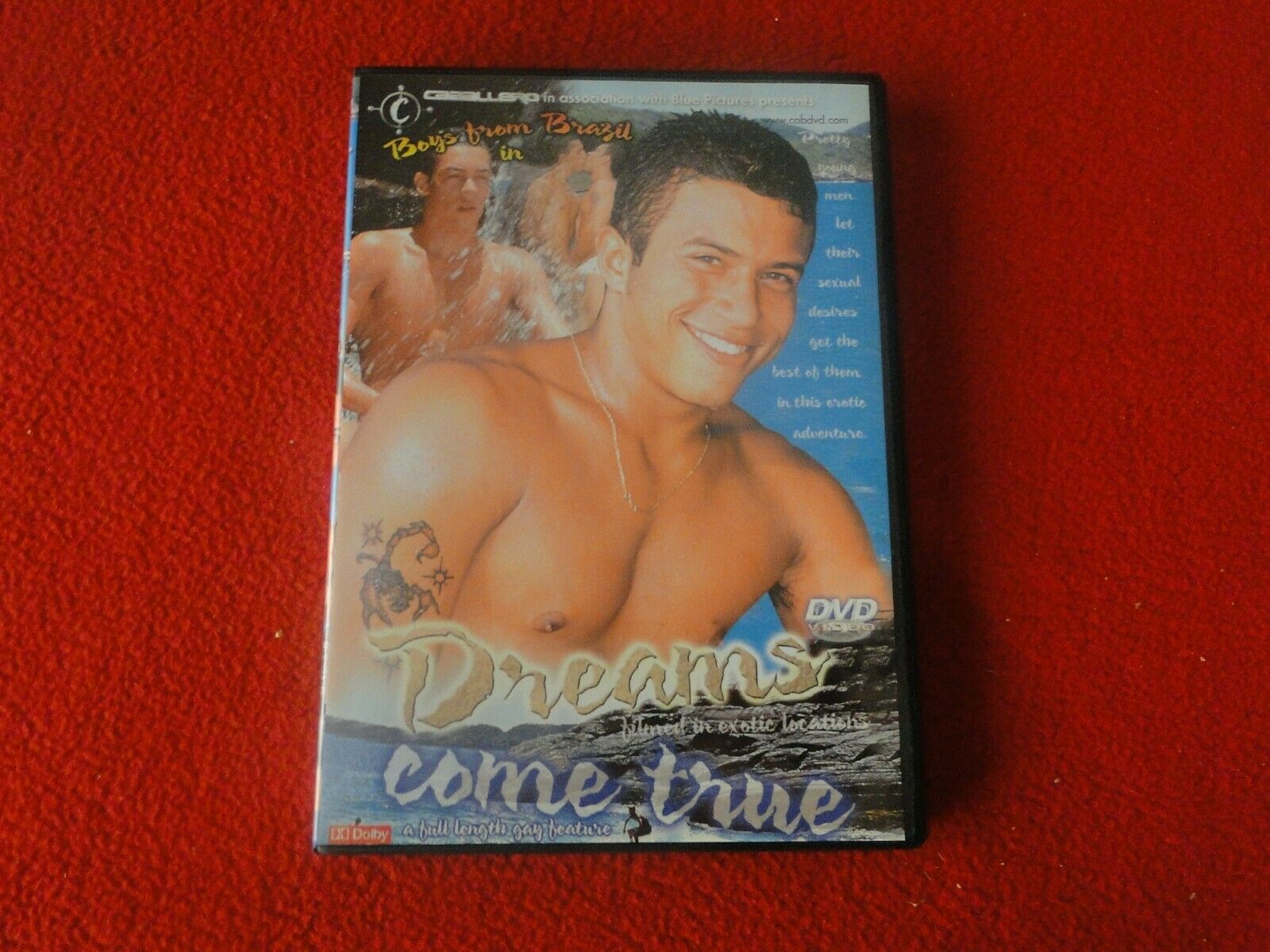 Vintage Adult All Male Gay Porn DVD XXX Dreams Come True Boys From Bra –  Ephemera Galore