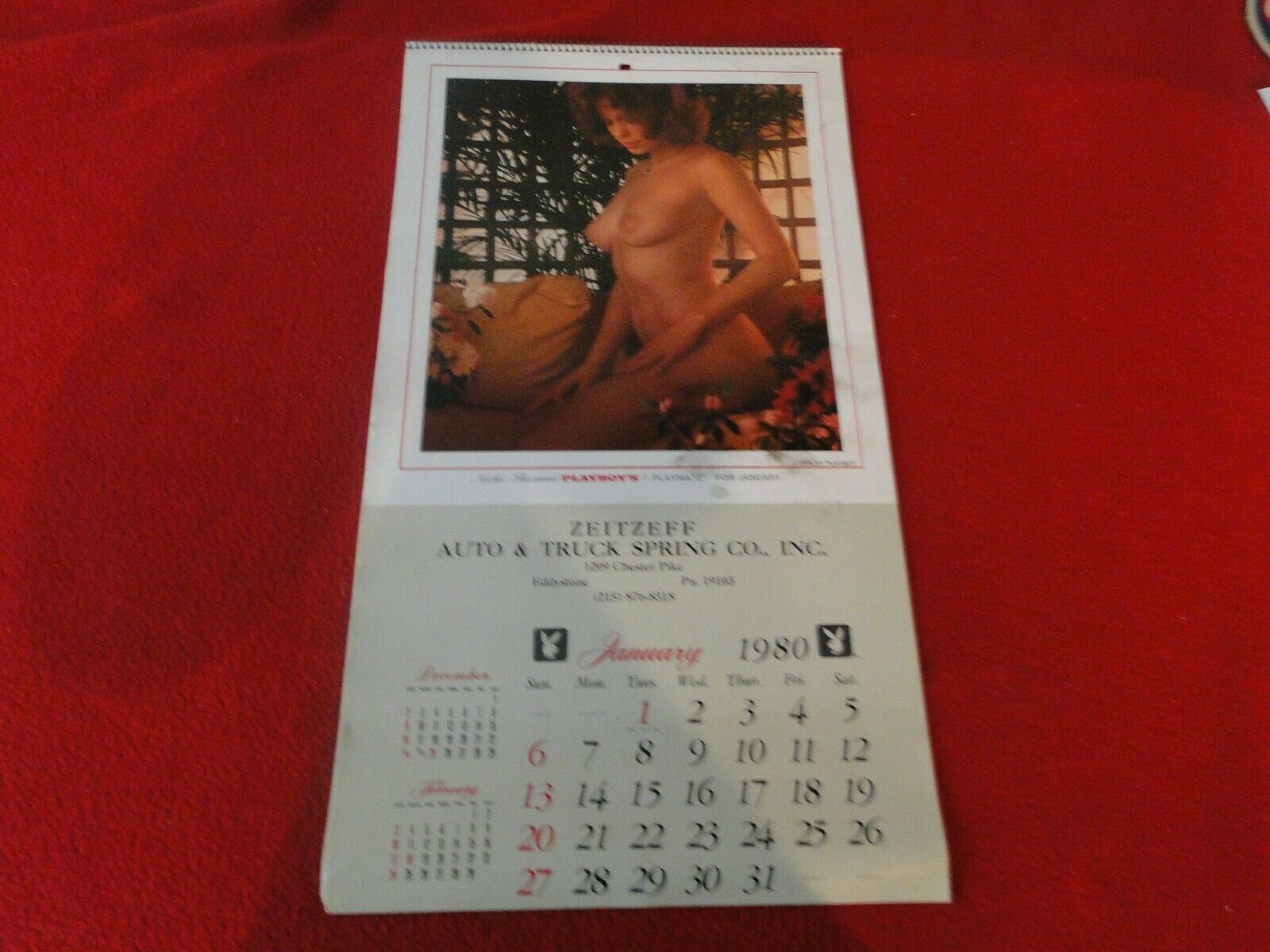 Vintage Semi-Nude Pinup Wall Calendar 1980 Playboy Zeitzeff Auto & Truck H