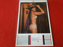 Load image into Gallery viewer, Vintage Semi-Nude Pinup Wall Calendar Playboy 1970 12 x 8                      H
