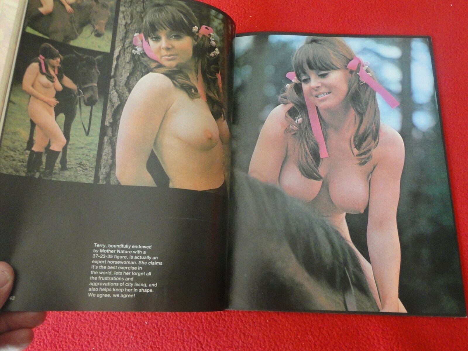 1970 Porn Xxx - Vintage Erotic Sexy Adult XXX Porn Magazine Swank January 1970 41 â€“  Ephemera Galore