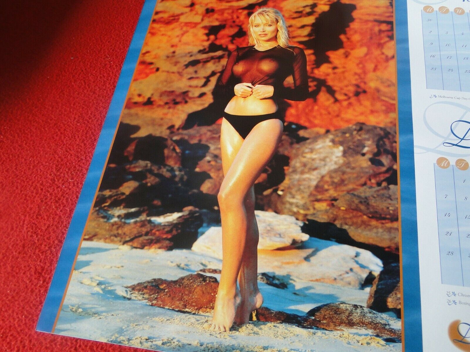 Vintage Semi-Nude Pinup Wall Calendar Dannii Minogue 1999 13 x 12 P –  Ephemera Galore