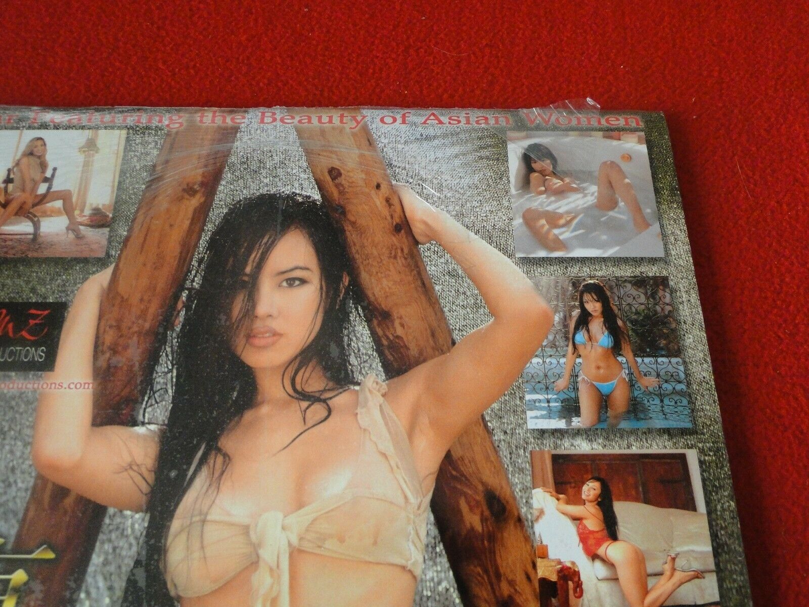 Vintage Semi-Nude Pinup Wall Calendar SEALED 12 x 12 2003 East West Le –  Ephemera Galore