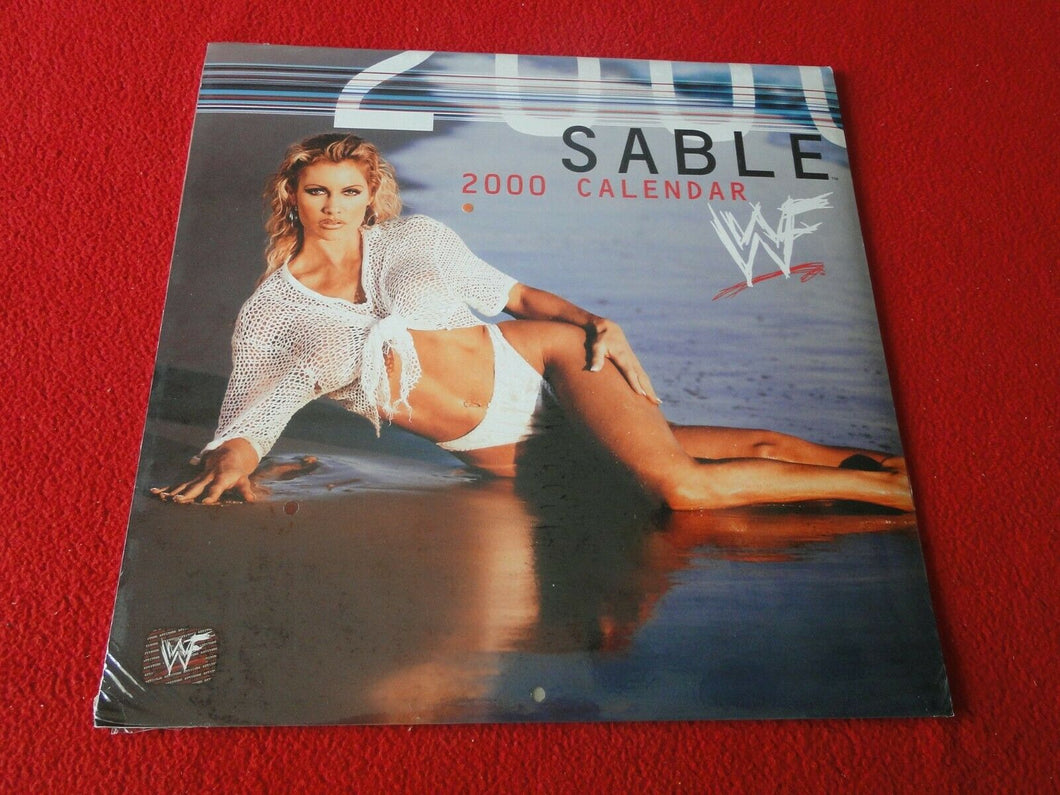 Vintage Large Semi-Nude Pinup Wall Calendar 2000 Sable WWF SEALED              D