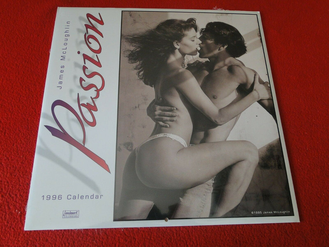 Vintage Large Semi-Nude Pinup Wall Calendar 1996 Passion SEALED 12 x 12        D