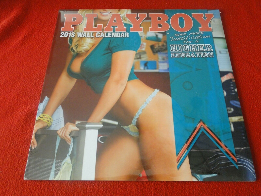 Vintage Semi-Nude Pinup Wall Calendar SEALED 12 x 12 2013 Playboy              F