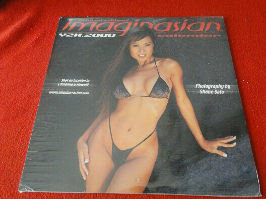 Vintage Semi-Nude Pinup Wall Calendar SEALED 12 x 12 2000 Imaginasian          F