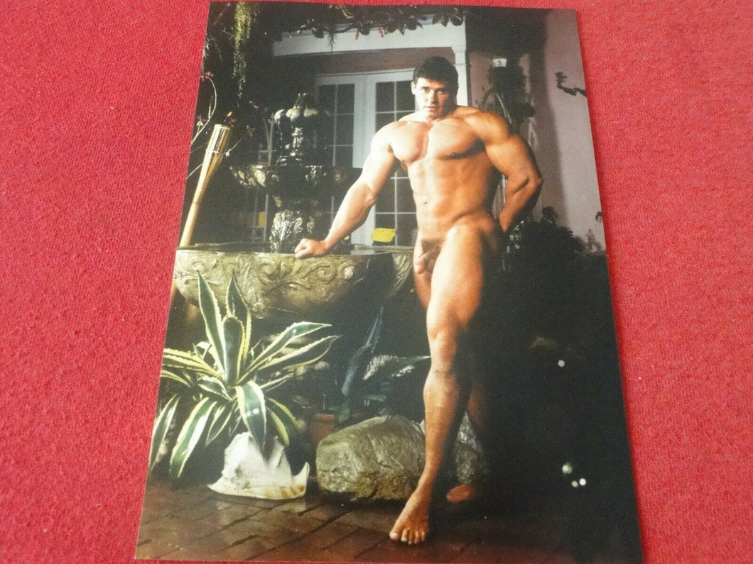 Vintage 18 Year Old + Gay Interest Nude Colt/Fox/Chippendales's Male Photo   D12